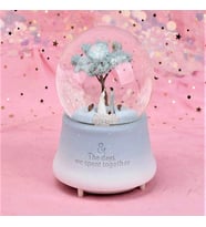 Romantik Aşıklar şıklı Müzikli  Kar Küresi 