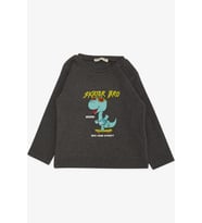 Breeze Girls & Boys Erkek Çocuk Uzun Kollu Tişört Kaykaycı Gözlüklü Dinozor Baskılı 1-4 Yaş, Koyu Gri Melanj