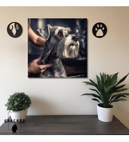 Tekli Kare Kanvas Pet Kuaför Traş olan Minyatür Schnauzer