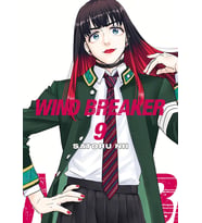 Wind Breaker 9