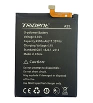 Trident A25 Pil Batarya 4500 Mah