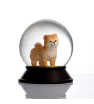 Snoowg Cam ve Reçine Altın Patiler Köpek Pomeranian Boo (Kayısı) Kar Küresi Hediye