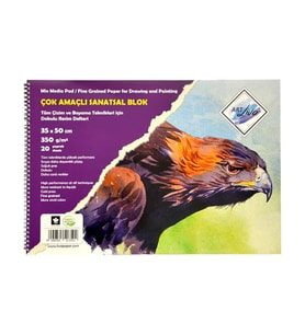 Art Liva Çok Amaçlı Resim Defteri 35x50 cm 350g