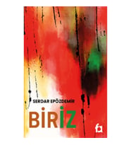 Biriz