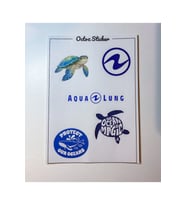 Caretta Dalış Temalı Sticker
