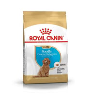 Royal Canin Poodle Junior Yavru Köpek Maması 3 Kg