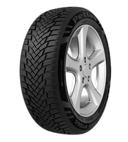 Petlas Multi Action PT565 205/55R16 91V M+S 3PMSF