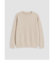 LCW Kids Bej Bisiklet Yaka Erkek Çocuk Sweatshirt