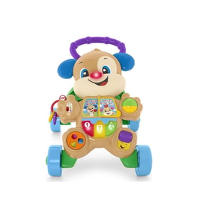 Fisher Price Eğitici Köpekçik Yürüteç (türkçe) Ftg10 (Çok Renkli)