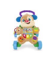 Fisher Price Eğitici Köpekçik Yürüteç (türkçe) Ftg10 (Çok Renkli)