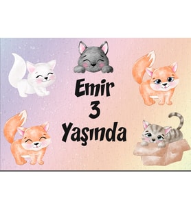 Kedi Teamlı Doğum Günü Afişi 50x70 cm