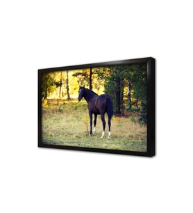 Kurt Çerçeveli Mdf Tablo