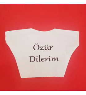 Özür Dilerim Yazılı Peluş Oyuncak Ayı Tişörtü