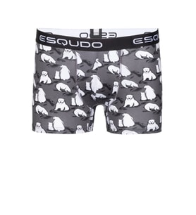 Esqudo Dijital Boxer ESBXD0010 (Çok Renkli)