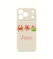 iPhone 17 Pro Max Vorian İnce Kamera Korumalı Mika Kılıf June Seaside