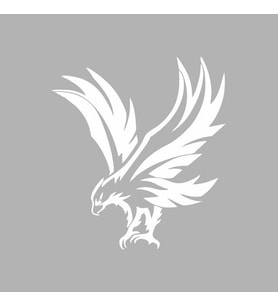 Kartal Araba Sticker siyah 19x21 CM (Beyaz)