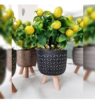 Yapay Limon Ağacı,Ayaklı Seramik Saksılı Yapay Limon Ağacı 26cm