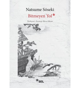 Bitmeyen Yol