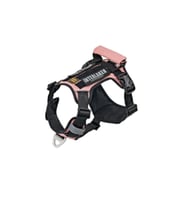 INTERLAKEN Köpek HARNESS Kosum Takimi Hafif Küçük ve Büyük Köpekler Uzanma Önleyici Gögüs Tasmasi SIYAH&PEMBE S BEDEN