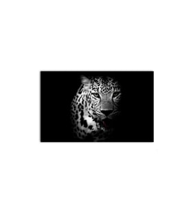 DBSanatevi Siyah Beyaz Çita Tablo 40 X 60 Cm