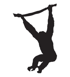 Folyo Sticker Maymun 60cm Uzunluk (Karışık)