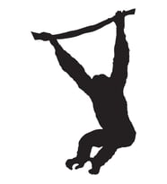 Folyo Sticker Maymun 60cm Uzunluk (Karışık)