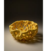 MYCRAFT3D Organik Delikli Dekoratif Kase Modern Şık Hafif Dayanıklı Ev Dekoru 20x9 cm