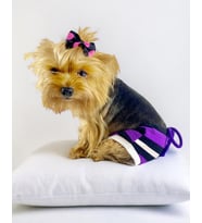 Modern Purp Kemique's Secret Köpek İç Çamaşırı Regl Külot Don (Mor)