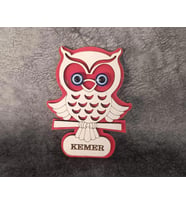 Magnet Baykuş Hayvan Nazar Boncuk Buzdolabı Süsü Ahşap Magnet Mıknatıslı Hediyelik Eşya