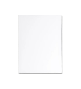 35x50 cm Tuval Arkadan Zımbalı Tuval Astarlı Tuval
