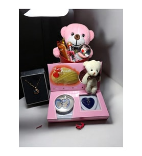 Sevgiliye Romantik Hediye Kutusu  Kar Küresi  Çelik Alya Kolye  Peluş Kalp Kutulu Ayıcık (Pembe)