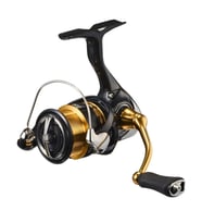 Daiwa Legalis 23 LT 2000 SP Makara (Renksiz)