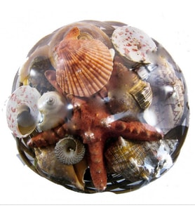 Sepet İçi Kabuk 18 CM