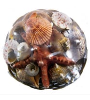 Sepet İçi Kabuk 18 CM