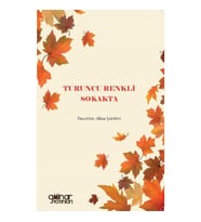 Turuncu Renkli Sokakta