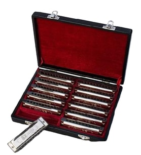 Valencia HM1020-12 Mızıka Seti (12'li) Farklı Tonlar - Okullar İçin Toplu Set - Kutulu