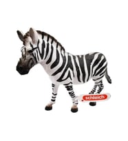 Schleich Dişi Zebra 17094
