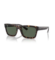 Ray-ban  4396 135971 54-20 Unisex  Güneş Gözlüğü