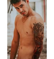 Caş Dekorasyon Geçici Kaplan Kol Dövme Tattoo