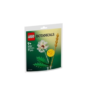 LEGO Botanik 30701 Tarla Çiçekleri