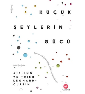 Küçük Şeylerin Gücü