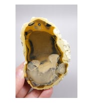 Amber ve Kahverengi Merlinit - Bal Dendritik Opal Yarım, Şeffaf Vurgular, 150g