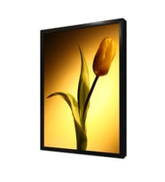 Sarı Lale Çerçeveli Mdf Tablo