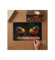 Gökkuşağı İkiz Lorikeet Papağanları Tasarımı 240 parça Ahşap Puzzle Ahşap Kutuda MP05625