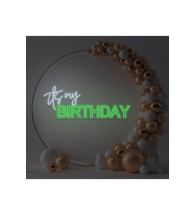 its my BIRTHDAY Yazılı Neon Tabela