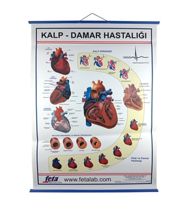 KALP VE DAMAR HASTALIKLARI LEVHASI