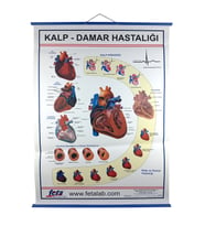 KALP VE DAMAR HASTALIKLARI LEVHASI