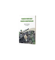 Türkiye'nin Bazı Makro Mantarları