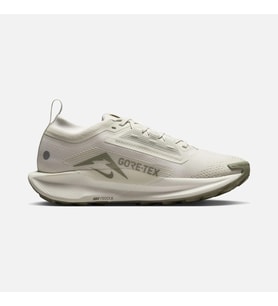 Nike Pegasus Trail 5 Gore-Tex Running Kadın Spor Ayakkabı FQ0912-006