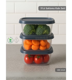 3'lü Saklama Kabı Seti Kare Erzak Kabı Bpa Free Derin Dondurucu için Uygun 250 ml